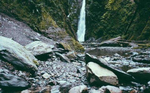 گزارش تولید محصولات باغی