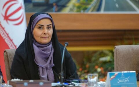 واگذاری ۱۶۰ هزار قطعه زمین در اجرای قانون جوانی جمعیت / ۳۵۰ هزار متقاضی دهک‌های یک تا چهار وام مسکن گرفتند